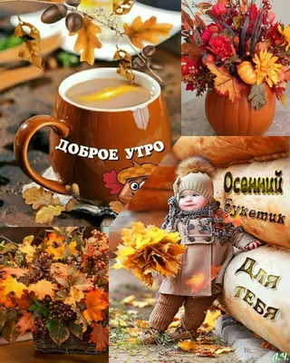 Красивые картинки \"Доброе осеннее утро!\" (382 шт.)
