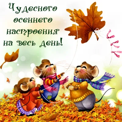 Красивые пожелания! Открытка доброе осеннее утро, пожелания доброго  осеннего утра!