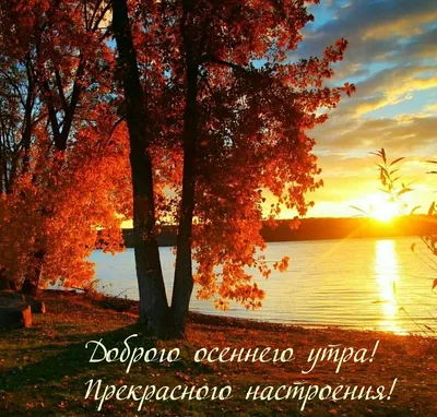 Открытки \"С добрым осенним утром!\" (448 шт.)