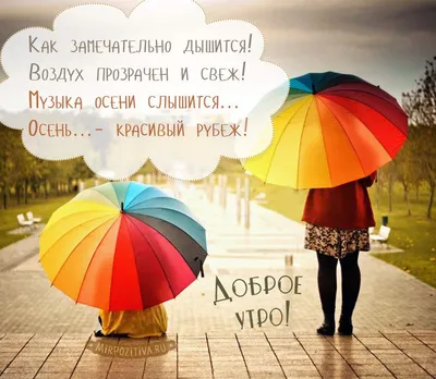 Доброе осеннее утро воскресенья - новые красивые картинки (31 ФОТО)