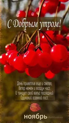 Открытки otkritka