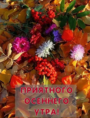 Красивые осенние картинки \"Доброе утро!\" (552 шт.)