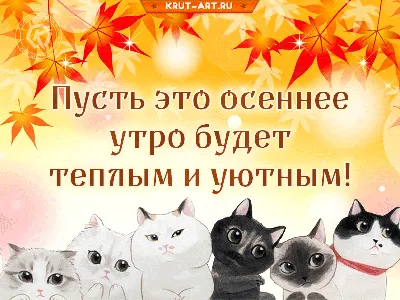 Осенние картинки \"Доброго утра!\" (357 шт.)