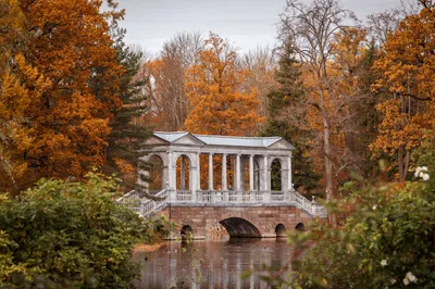 Красивые фотографии Санкт-Петербурга — PtMap.ru