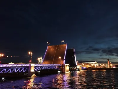 Самые красивые места для прогулочных фотосессий в Санкт-Петербурге