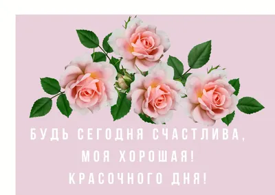 Жизнь так коротка - трогательно и душевно - Христианские стихи со смыслом |  СТИХИ ВЕРЫ | Дзен
