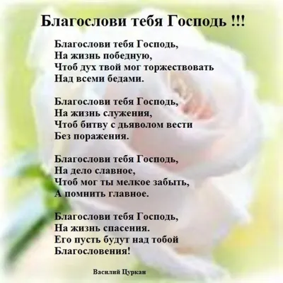 Христианская мудрость в картинках! Фото