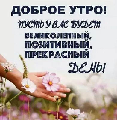 Соболезнования по случаю смерти своими словами коротко в прозе и стихах