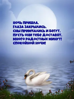 Открытки с мудрыми высказываниями (63 фото)