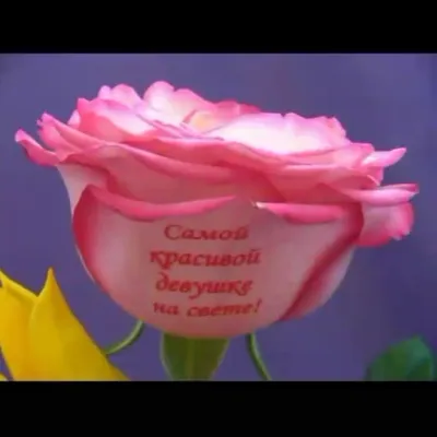 Beautiful bouquets. Красивые букеты. PNG. | Цветочное искусство, Красивые  цветы, Свадебная иллюстрация