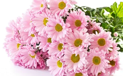 Цветочные композиции для свадьбы, красивые цветы, свадебные букеты Photos |  Adobe Stock