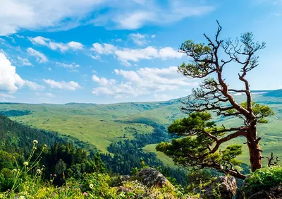 Самые красивые места России природа (59 фото) - 59 фото
