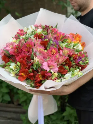 Красивый букет из 41 розы красных и белых цветов купить в Краснодаре с  доставкой