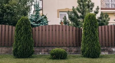 Красивые заборы для частных домов: 76 фото вариантов | ivd.ru