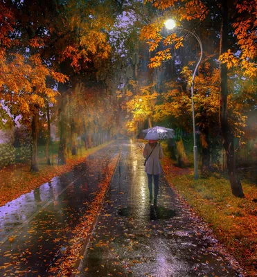 Осенняя атмосфера с дождем: гармония красок