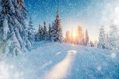Волшебство зимы: фото падающего снега в хорошем качестве