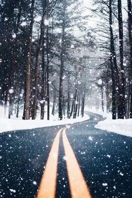 Великолепие природы: падающие снежинки во всей красе