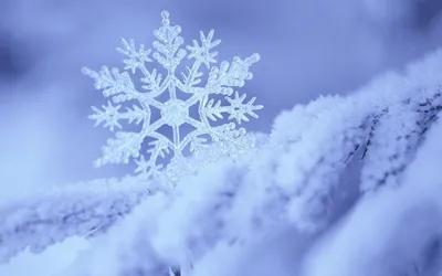 Волшебный снегопад: фотография красивого снега
