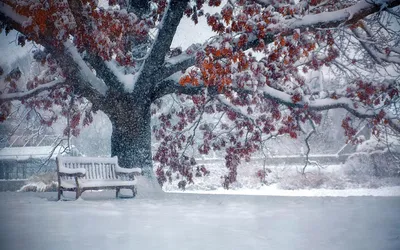 Пробуждение зимы: фото снега, символизирующего новый сезон