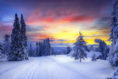 Зима пейзаж - фото и картинки: 62 штук
