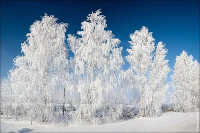 Красивые зимние пейзажи» — создано в Шедевруме