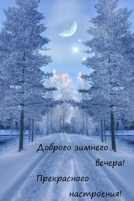 Красивые зимние пейзажи мира (2)