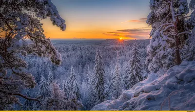 Красивые виды зимы - красивые фото