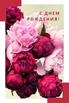 101 пион \"Ванильные облака\" | купить недорого | доставка по Москве и области