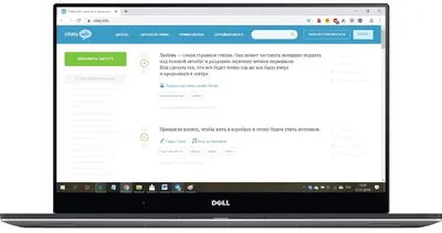 Подпись под фото в Инстаграм – 50% успеха поста