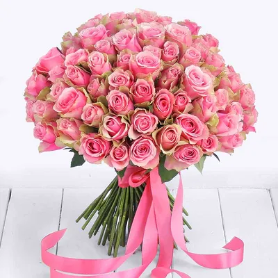 Красивые розовые розы фото фотографии