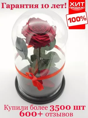 Голландские розы - Курсы Пряничной Флористики