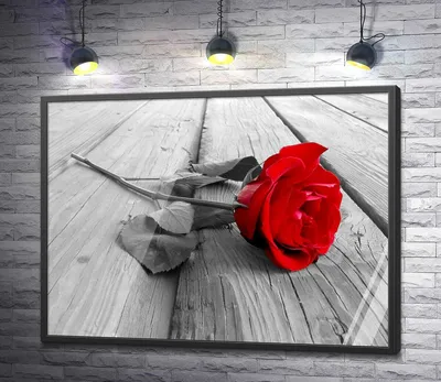 The One Rose Стабилизированная Роза в колбе PREMIUM Красавица и Чудовище