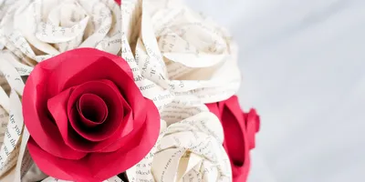 The One Rose Стабилизированная Роза в колбе PREMIUM Красавица и Чудовище
