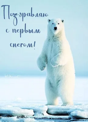 Зимние чудеса: Снег во всей своей красе, бесплатно скачать в jpg