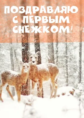 Волшебная атмосфера: Фото с первым снегом, чтобы создать уютный фон, jpg