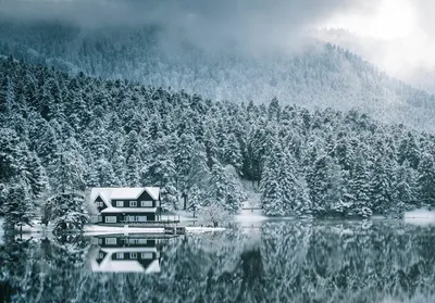 Фотографии Красивые снега в формате webp 