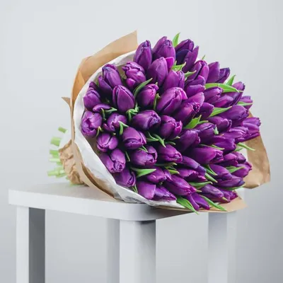 Скачать обои цветок, цветы, природа, тюльпан, букет, весна, тюльпаны,  красивые, раздел цветы в разрешении 2560x1600