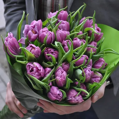 Красивые цветы открытки тюльпаны (40 фото) » Уникальные и креативные  картинки для различных целей - Pohod.club
