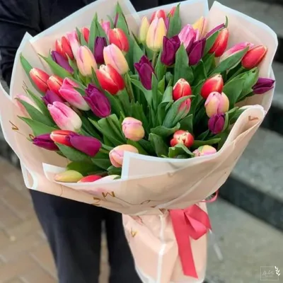 Тюльпаны - красивые цветы Stock Photo | Adobe Stock