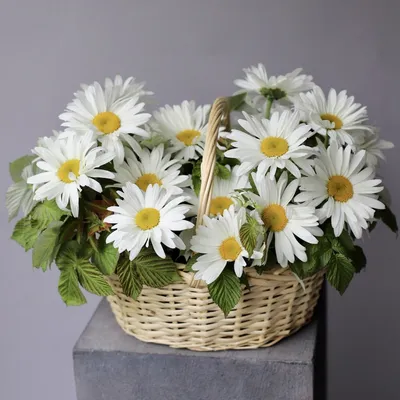 Корзина с ромашками - заказать доставку цветов в Москве от Leto Flowers