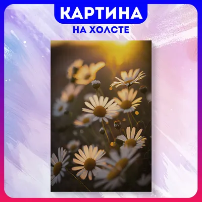 Картина на холсте Ромашки красивые цветы эстетика природа (3) 20х30 см -  купить по низкой цене в интернет-магазине OZON (1180985140)