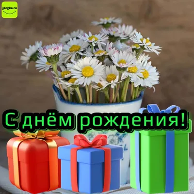 Топ самых популярных и красивых цветов в мире — Читайте в блоге «Городской  Базы Цветов»