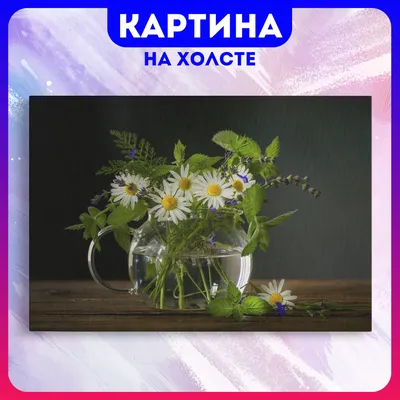 Красивые цветы ромашки с каплями …» — создано в Шедевруме