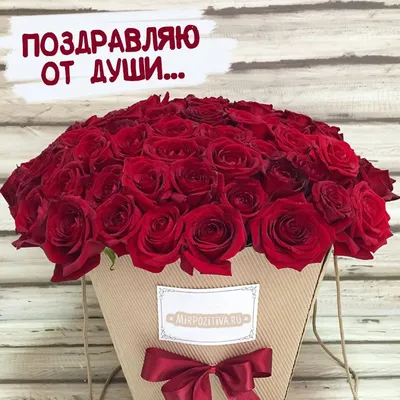Красивый букет роз с днем рождения фото фотографии