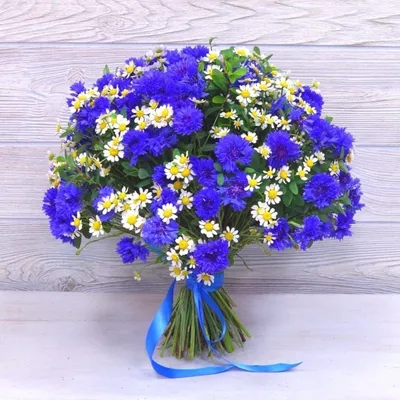 Купить букет васильков с доставкой по СПб: цены на доставку цветов