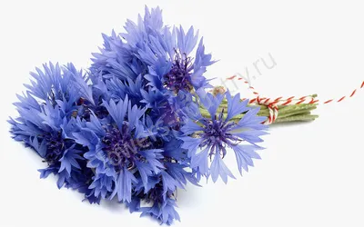 Красивый букет цветов васильков в …» — создано в Шедевруме
