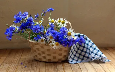 Букет васильков и тюльпанов это букет из свежих срезанных цветов. KROKUS -  лучший интернет магазин, доставка цветов в Риге
