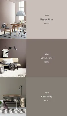 Сложные оттенки серого и бежевого для стен современного интерьера | Цвета  красок интерьер, Цвет гостиной, Внутренние цветовые схемы