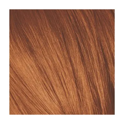 Краска для волос Schwarzkopf Professional, Igora Royal 8-77, стойкая, 60 мл  купить в интернет-магазине РУ БЬЮТИ с доставкой или самовывозом