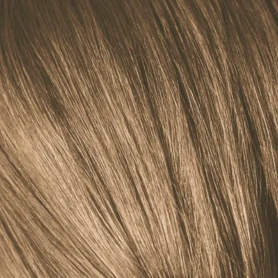 SCHWARZKOPF PROFESSIONAL 8-00 краска для волос Светлый русый натуральный  экстра / Igora Royal Extra 60 мл купить в интернет-магазине косметики